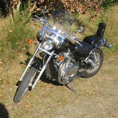 Suzuki VS 750 Intruder