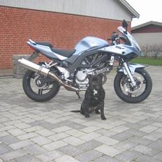 Suzuki sv650s