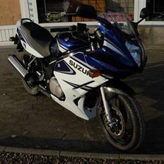 Suzuki GS500F