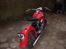 Harley Davidson panhead