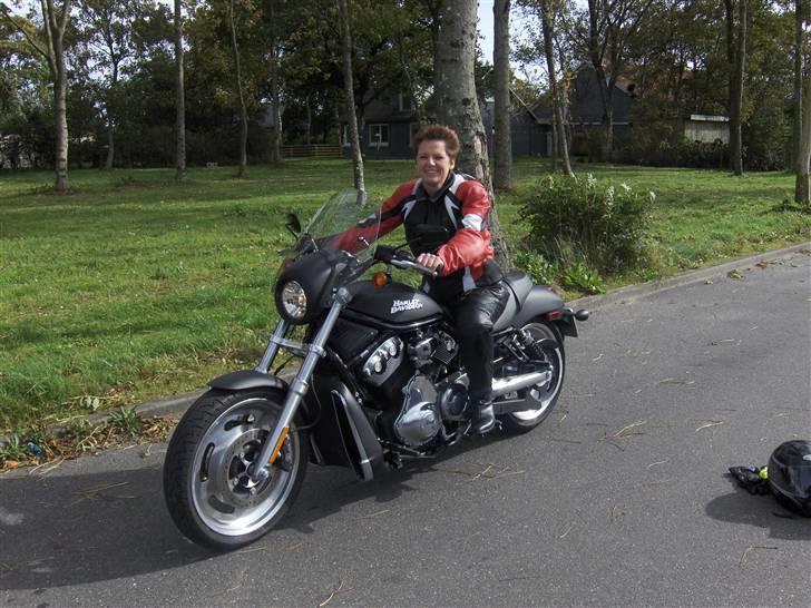 Harley Davidson Night Rod billede 15