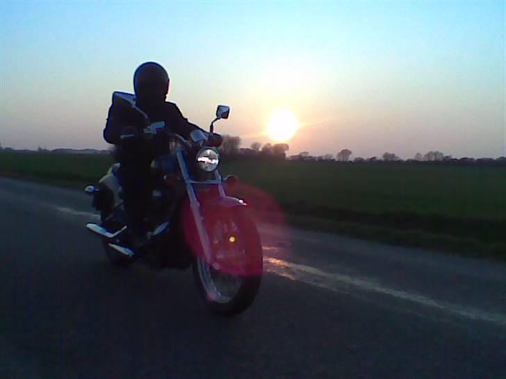 Honda VT 600 Shadow [Solgt] - Et stemningsbillede.. beklager kvalitet- Fra mobiltelefon..  billede 1