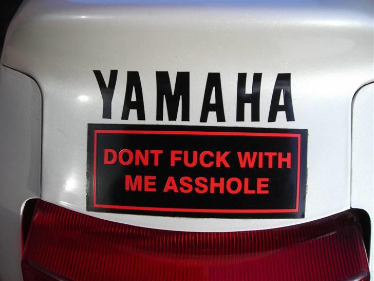 Yamaha FZR 1000 EXUP billede 8