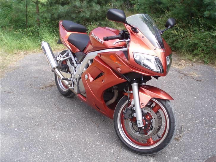 Suzuki SV650 billede 1