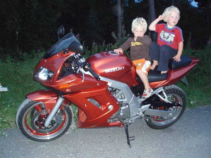 Suzuki SV650 billede 4