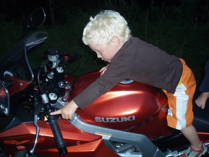 Suzuki SV650 billede 5