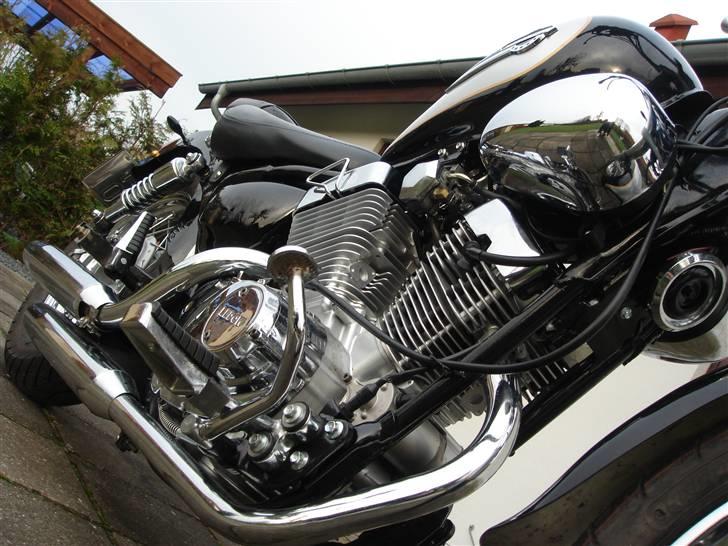 Lifan Ledow Borelli billede 10