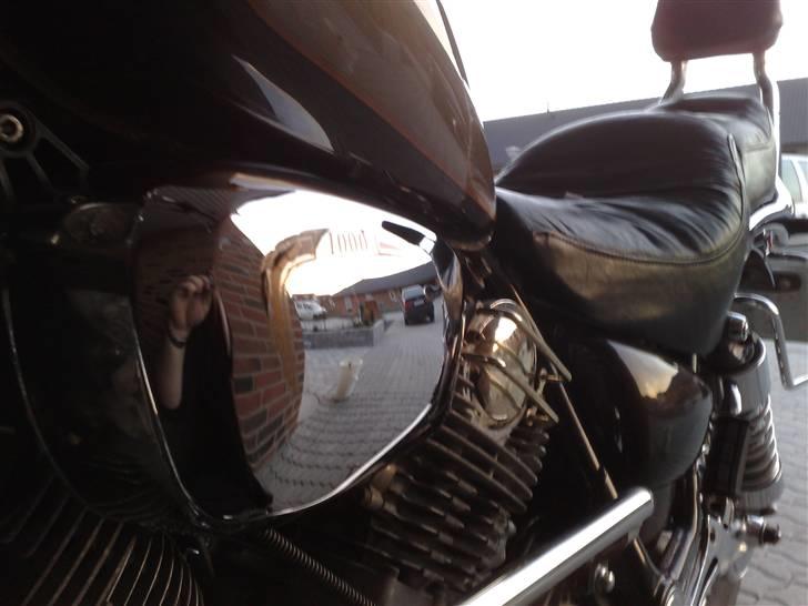 Yamaha Virago Gold Edition billede 3