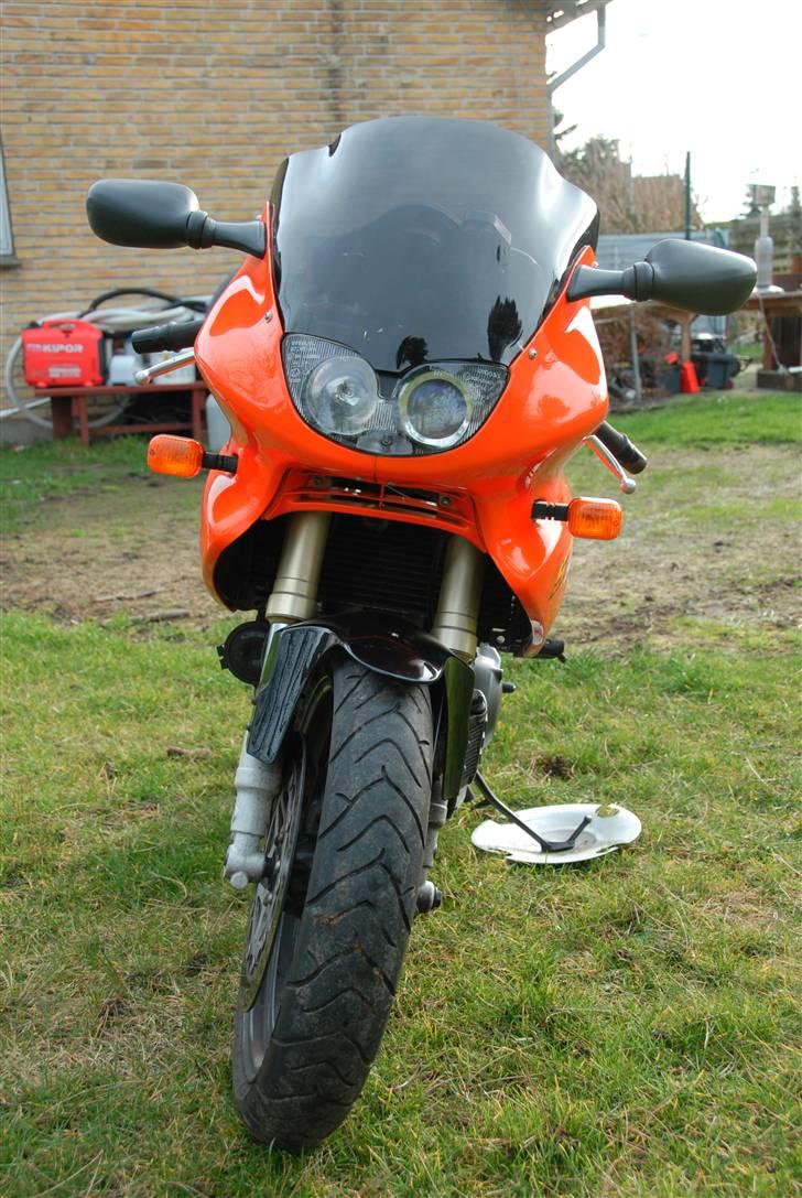 Yamaha SZR 660 afgået ved døden billede 1