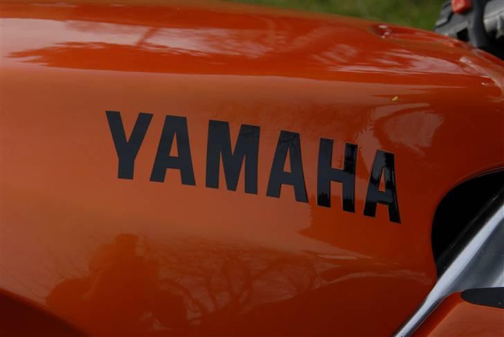 Yamaha SZR 660 afgået ved døden billede 8