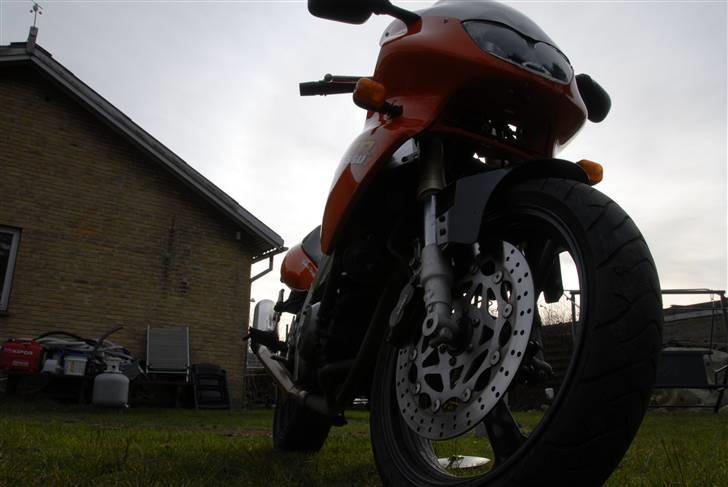 Yamaha SZR 660 afgået ved døden billede 13