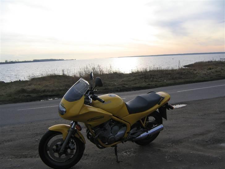 Yamaha XJ600S Diversion *SOLGT* billede 2