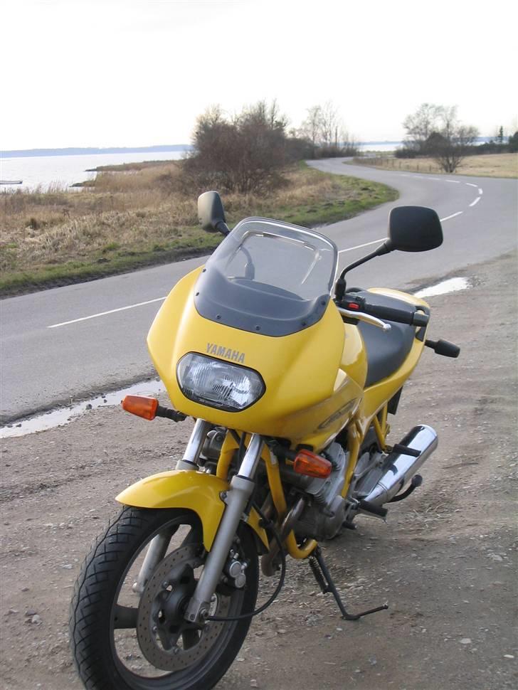Yamaha XJ600S Diversion *SOLGT* billede 3