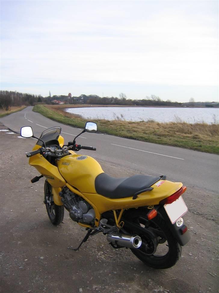 Yamaha XJ600S Diversion *SOLGT* billede 8