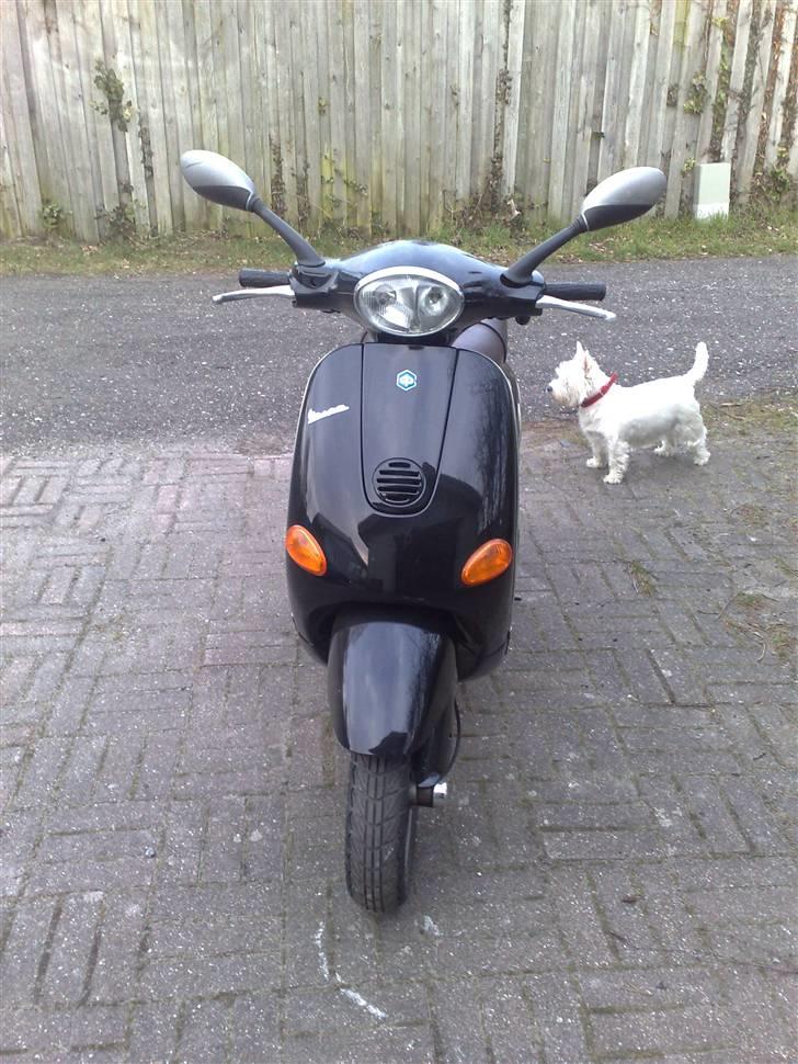 Vespa ET4 billede 5