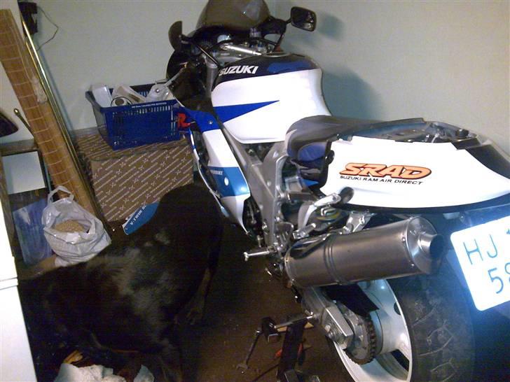 Suzuki TL1000R Solgt:( - Bjørnen sover! billede 12