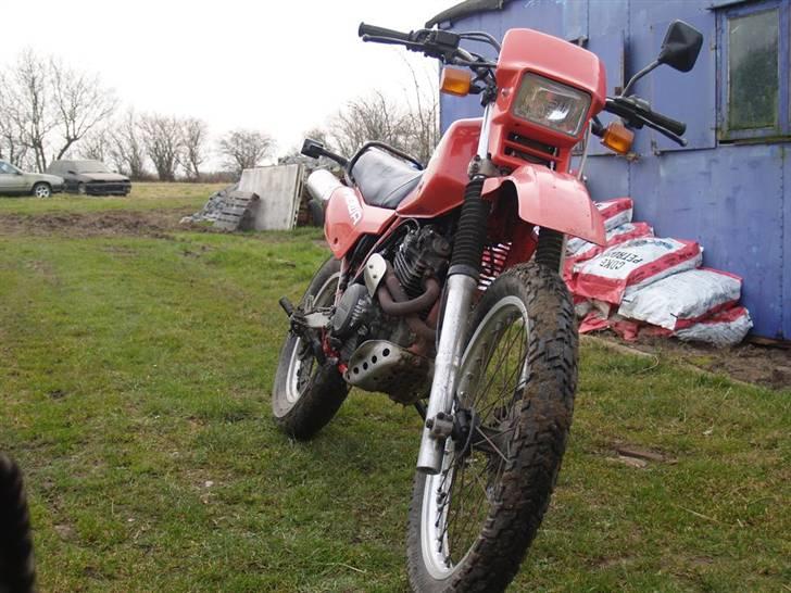 Honda XL 350 billede 6