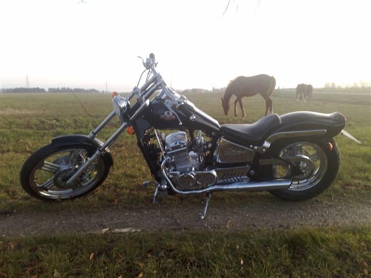 Regal Raptor DD300 Spyder - Februar solnedgang i Jægerspris billede 4