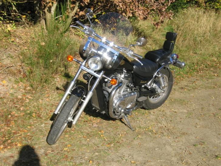 Suzuki VS 750 Intruder billede 1