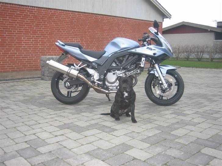 Suzuki sv650s billede 3