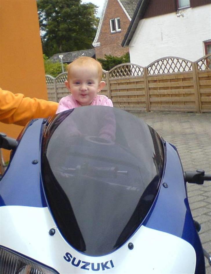 Suzuki TL1000R  Solgt billede 15