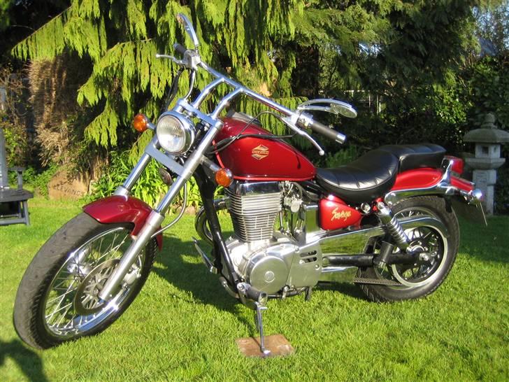 Suzuki LS 650 Savage solgt billede 1