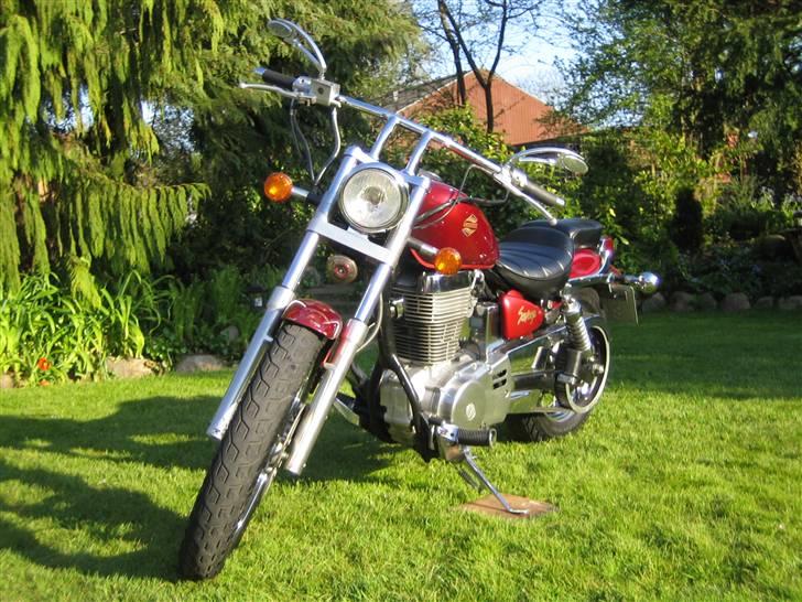 Suzuki LS 650 Savage solgt billede 2