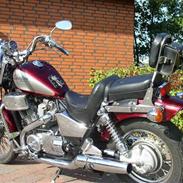 Honda VT 800 Shadow