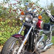 Honda VT 800 Shadow