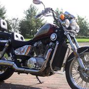 Honda VT 800 Shadow