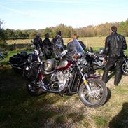 Honda VT 800 Shadow