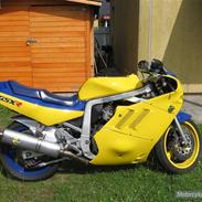 Suzuki Gsxr 750 SOLGT
