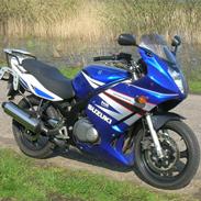 Suzuki gs 500f