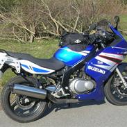 Suzuki gs 500f