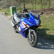 Suzuki gs 500f