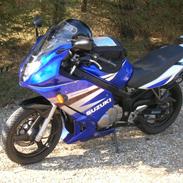 Suzuki gs 500f