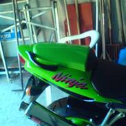 Kawasaki zx9rninja