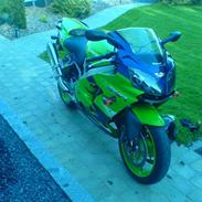 Kawasaki zx9rninja