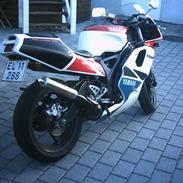 Yamaha TZR250