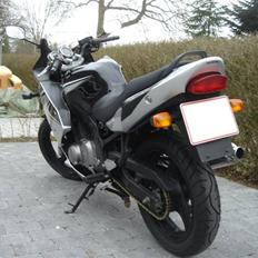 Suzuki GS500F ( Solgt )