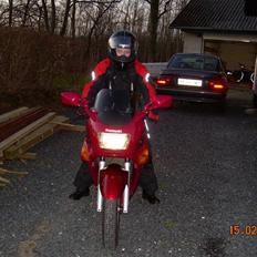 Kawasaki ZZR - 250 TIL SALG