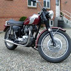 Triumph trophy
