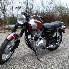 Triumph trophy