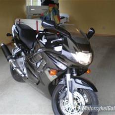 Honda CBR 600 F3 (PC31)