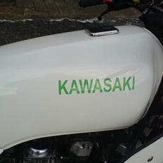 Kawasaki z550f