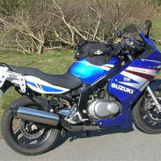 Suzuki gs 500f