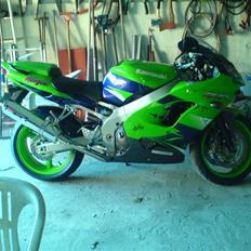 Kawasaki zx9rninja