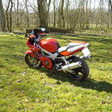 Honda VTR 1000 Firestorm