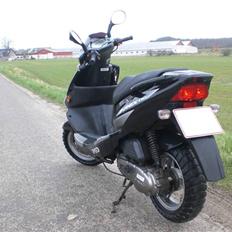 PGO T-REX SOLGT