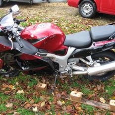 Suzuki Hayabusa  (SOLGT)